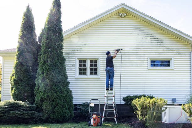 Solar Panel Cleaning in Richwood, LA